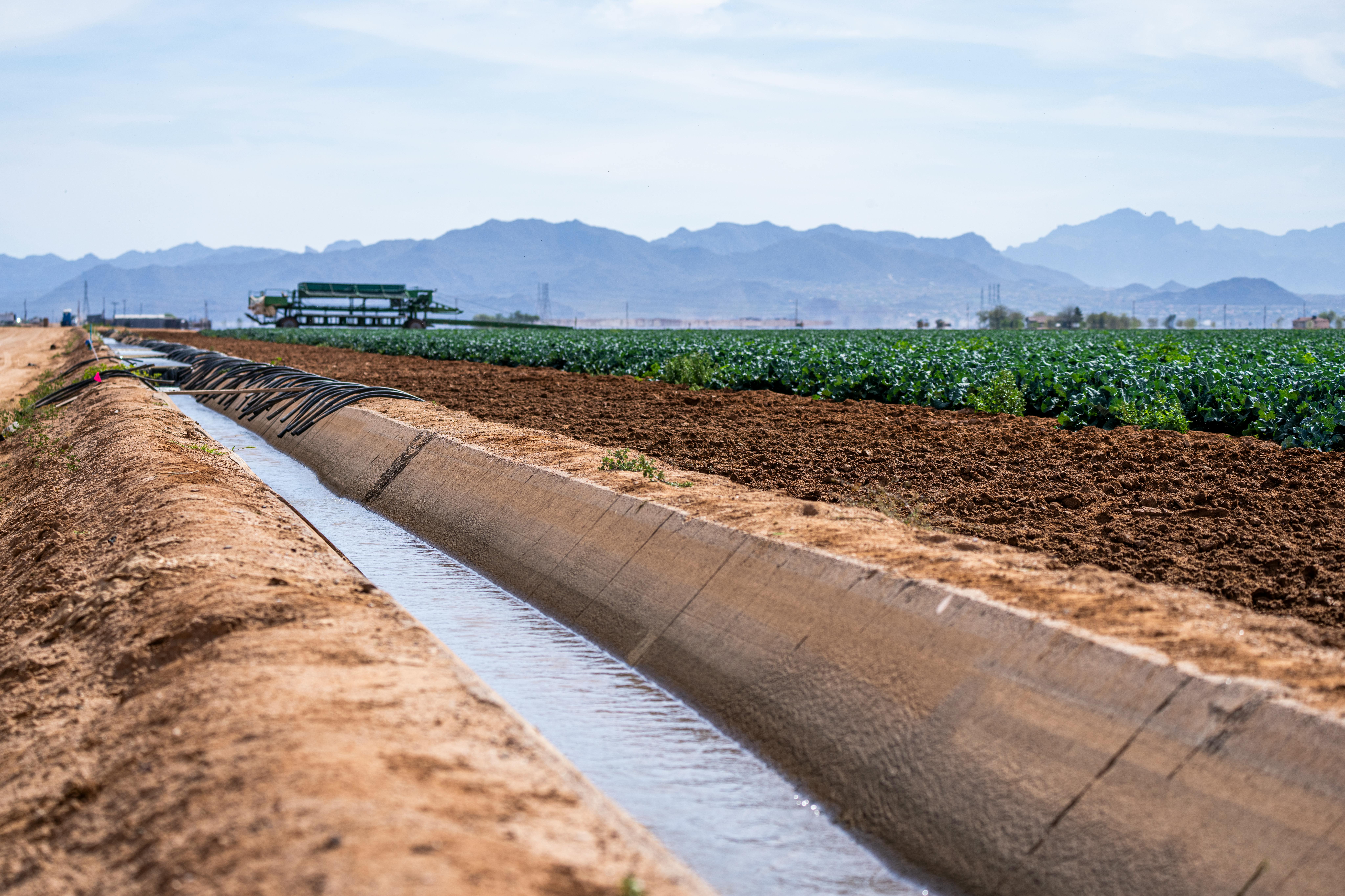 Irrigation